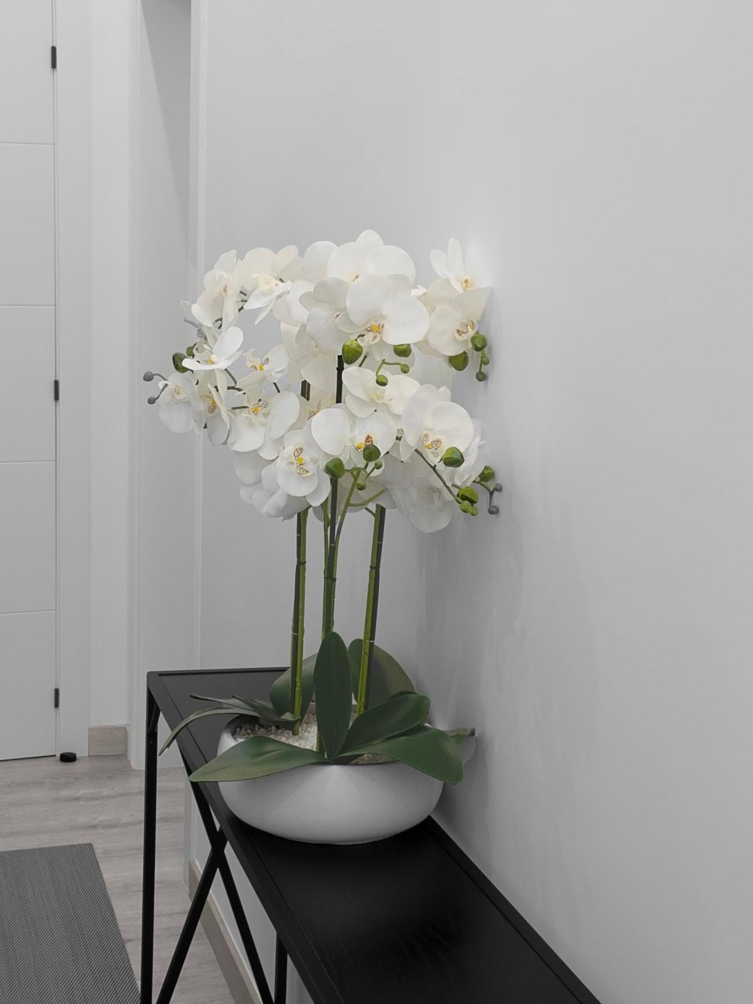 El Rincon De La Estacion Apartment โอว์เรนเซ ภายนอก รูปภาพ
